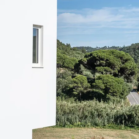 Golden House 펜션 Santo Isidoro